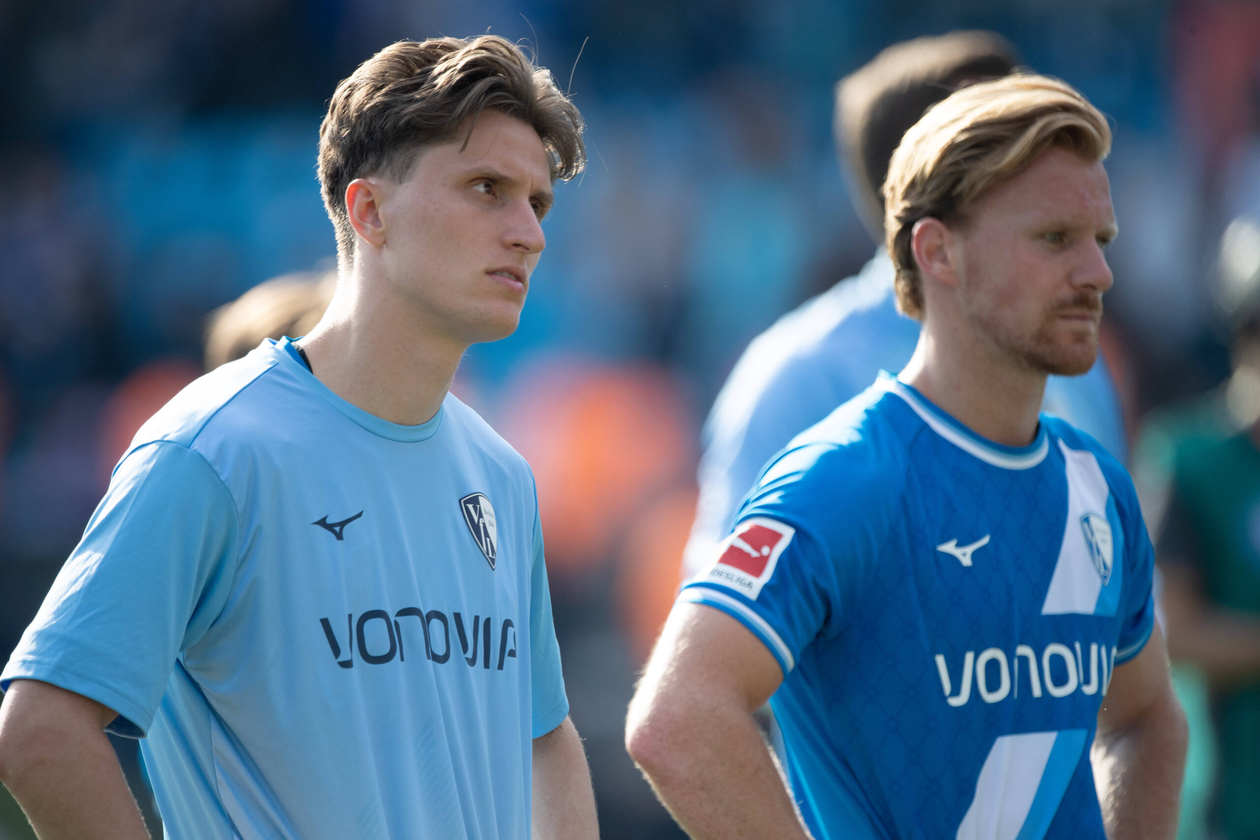vfl-magazin.de
